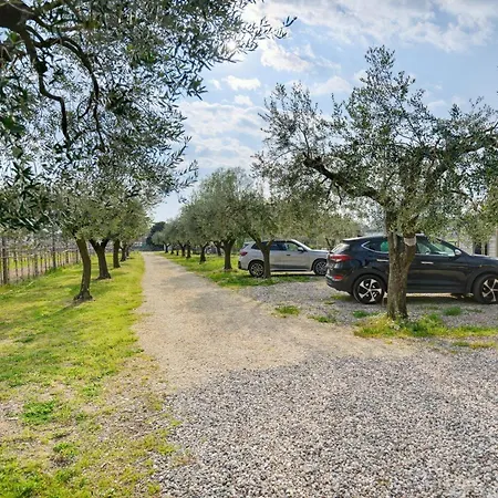 Apartmán Olivo - Adults Only Bardolino